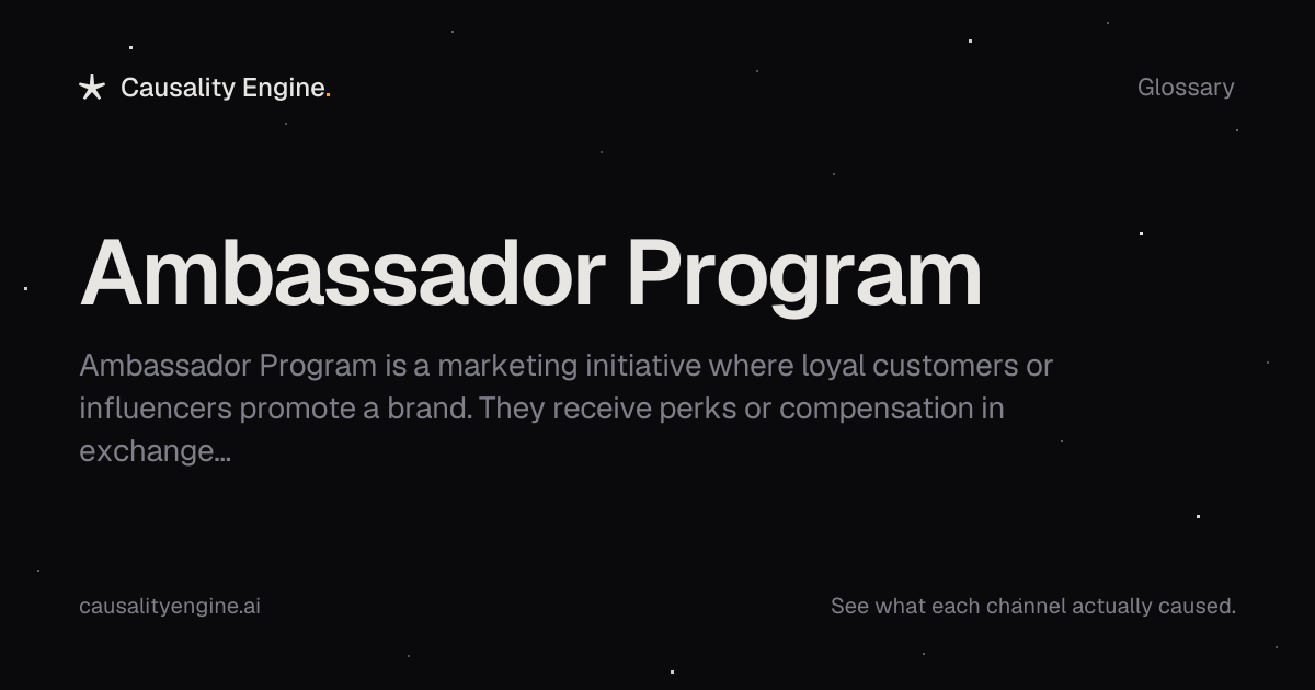 Ambassador Program: What It Is & What It Hides About Your ROAS ...